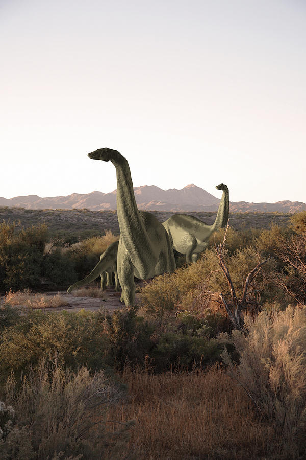 Dinosaurs Photograph by Emyerson