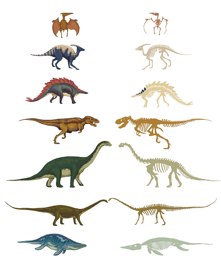 Dinosaurs Types Skeletons amp Fossils Museum Painting by Adele Nikki ...