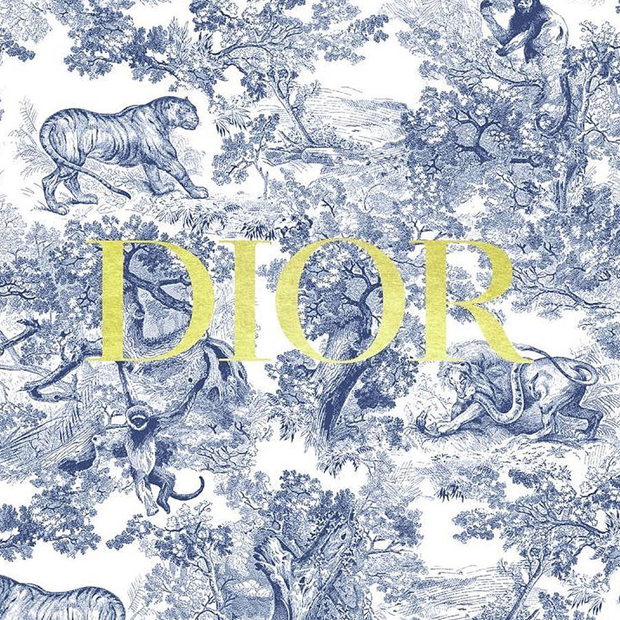 Dior Design Logo Symbol Vintage Digital Art by Russ Schaefer - Fine Art ...