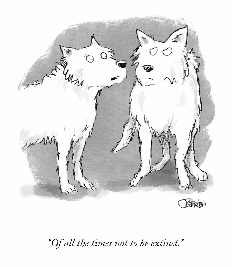 Cartoon of the Day