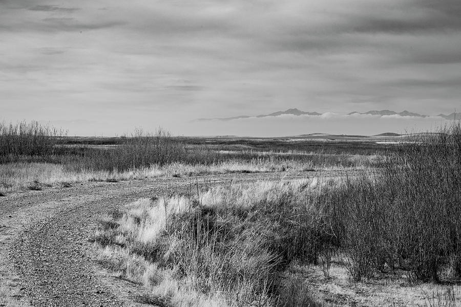 Dirt Road 2 by Michael Chatt Dirt Road 2 by Michael Chatt