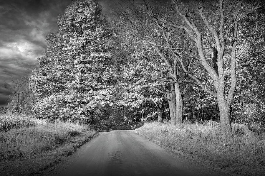 Dirt Road Backstreet in Black and White Photograph by Randall Nyhof