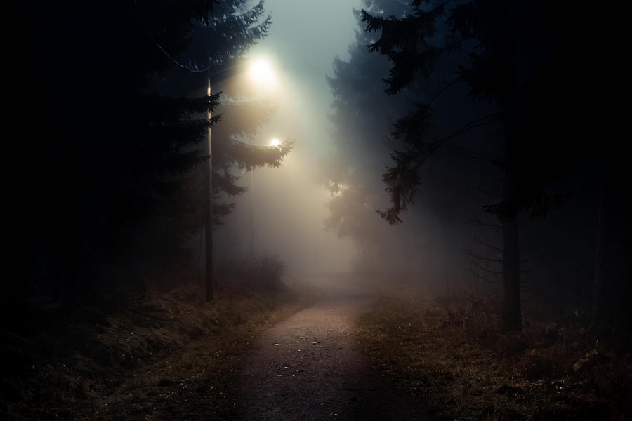 Dirt road in a dark and foggy forest Photograph by Baac3nes