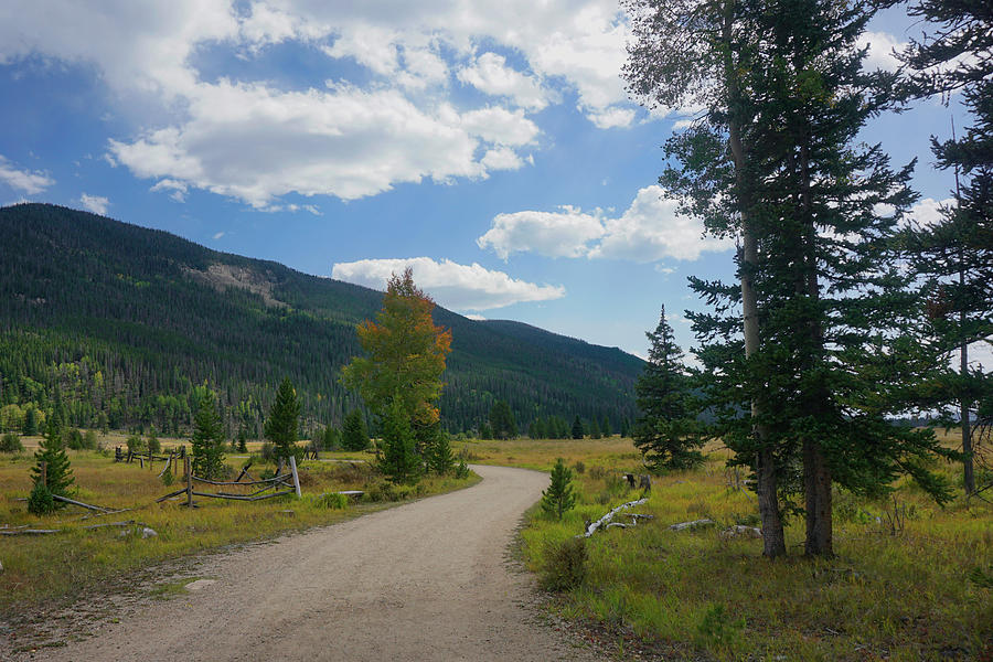 Dirt road in Rocky Mountain National Park Photograph by Paul Hamilton ...