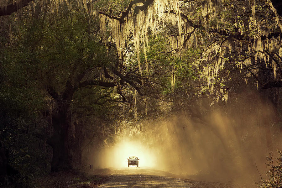 Spring Photograph - Dirt Road in South Carolina by Magda Bognar