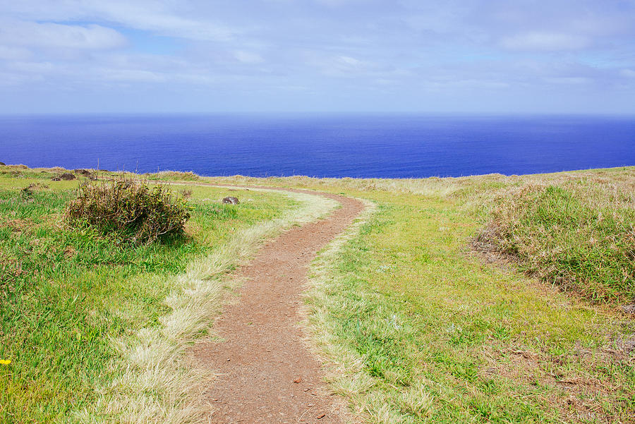 Dirt road surrounded by green grass to the sea Photograph by Volanthevist