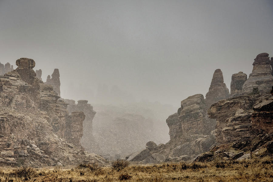 Disappearing Canyon Photograph by Kelly VanDellen