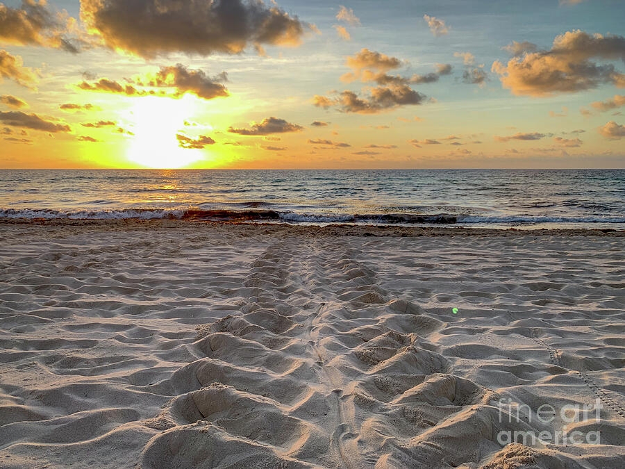 Disappearing Tracks in the Sand Photograph by UA-Visions Disappearing Tracks in the Sand Photograph by UA-Visions