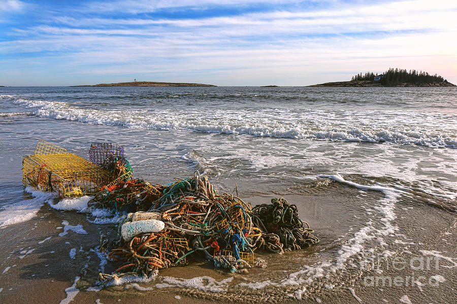 Rope Photograph - Discarded Fishing Gear on Popham Beach by Olivier Le Queinec