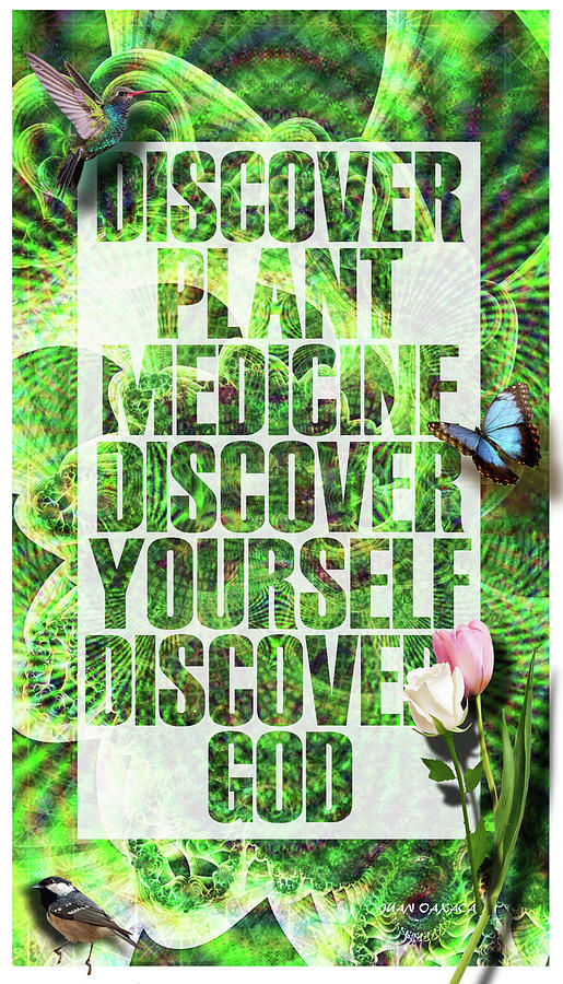 Discover Plant Discover Yourself Digital Art by J U A N - O A X A C A