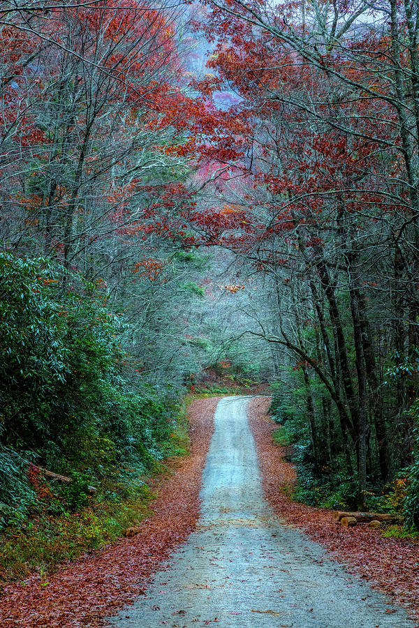 Fall Photograph - Discover the Backroads of the Smoky Mountains by Debra and Dave Vanderlaan