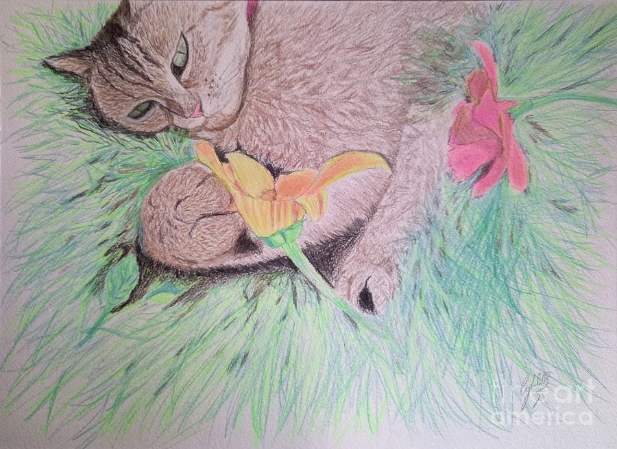 Playful Cat Drawing by Cybele Chaves