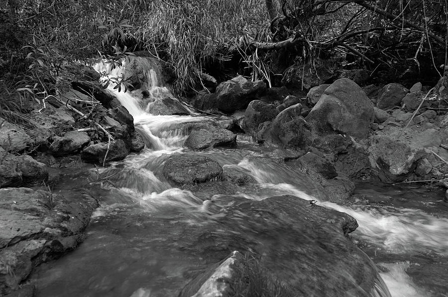 Discovering Queda do Vigario waterfall in monochrome Photograph by Angelo DeVal