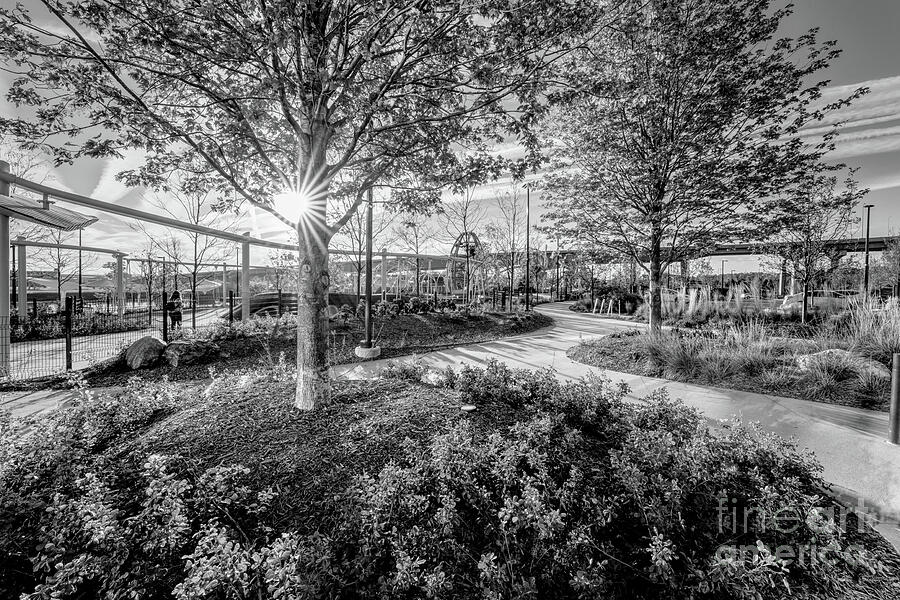 Black And White Photograph - Discovery Playground Omaha Nebraska Grayscae by Jennifer White