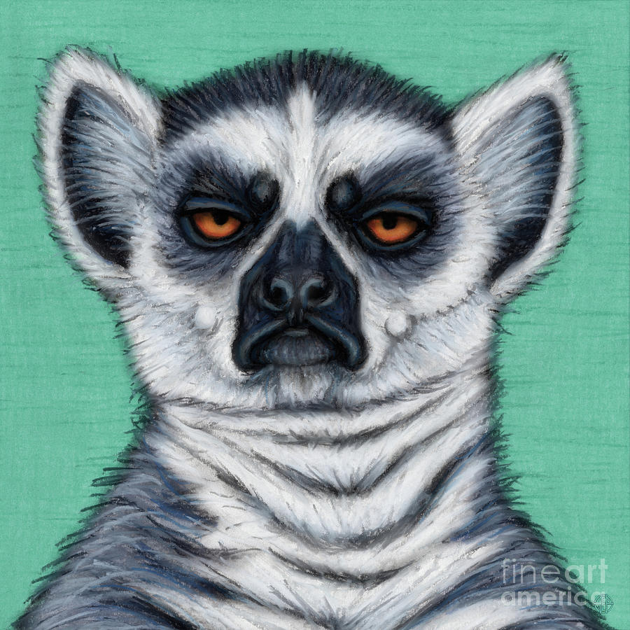 Disgruntled Ring Tailed Lemur  Painting by Amy E Fraser