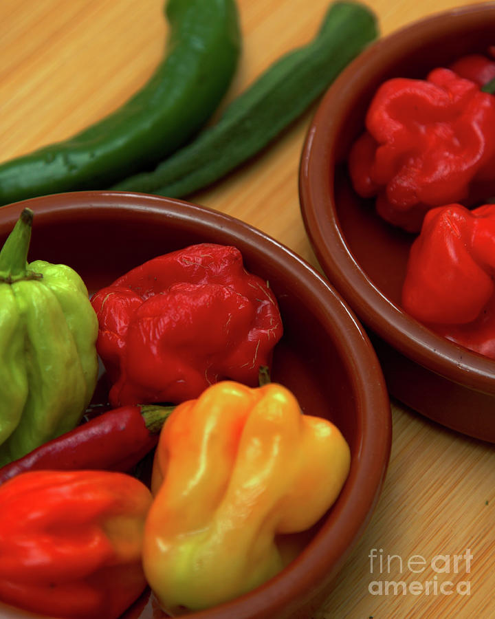 Dishy Peppers Photograph by Stephen Melia