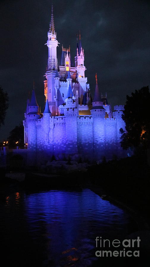 Disney Castle Moat Photograph By Erick Schmidt Wall Art