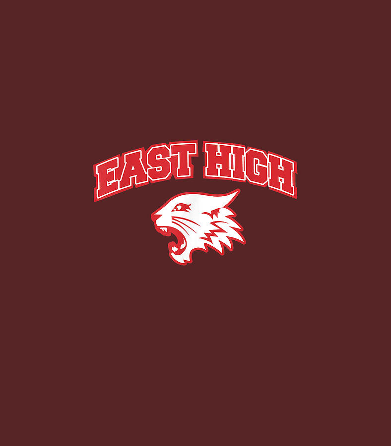 Disney Highchool Musical The Musical Theeries East High Digital Art by