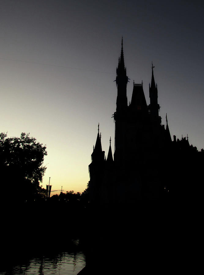 Disney in the Dark Photograph by Sean Dorazio | Fine Art America