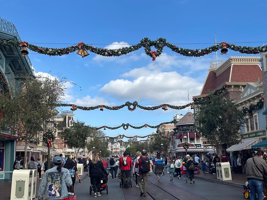 Disneyland Christmas  Photograph by Beverly Read
