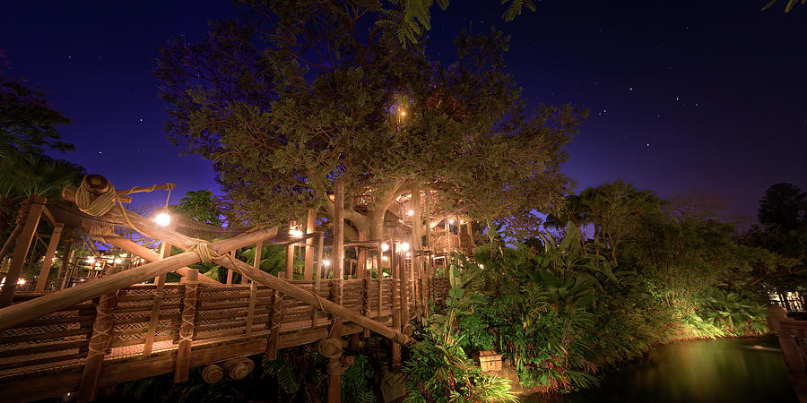 Disneys Swiss Family Treehouse Night Panorama Photograph by Mark Andrew Thomas