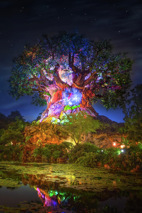 Disneys Tree of Life Photograph by Mark Andrew Thomas