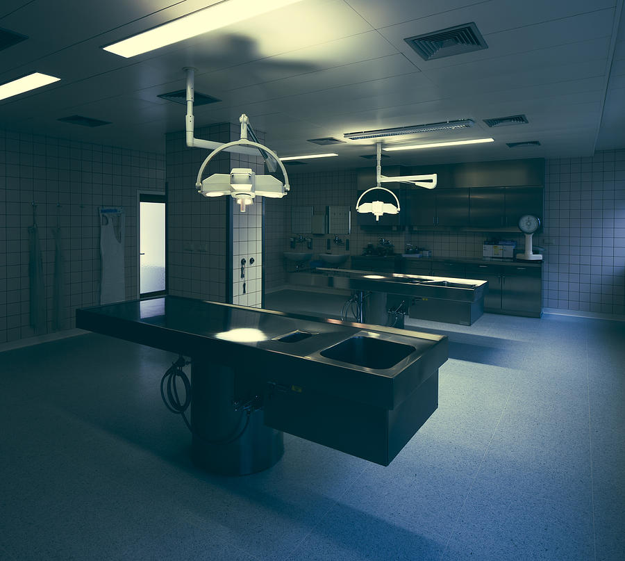 Dissecting room in hospital Photograph by Westend61 Dissecting room in hospital Photograph by Westend61