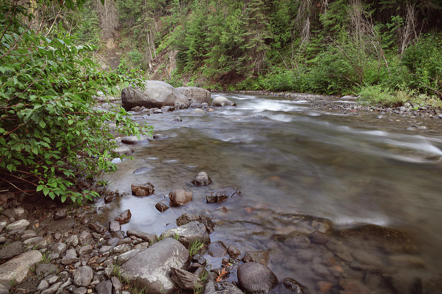 Tree Photograph - Distant boulders and rapids by Jeff Swan