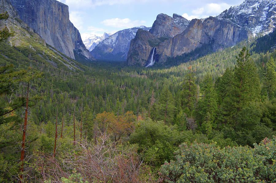 Distant Bridalveil Photograph by Eric Forster