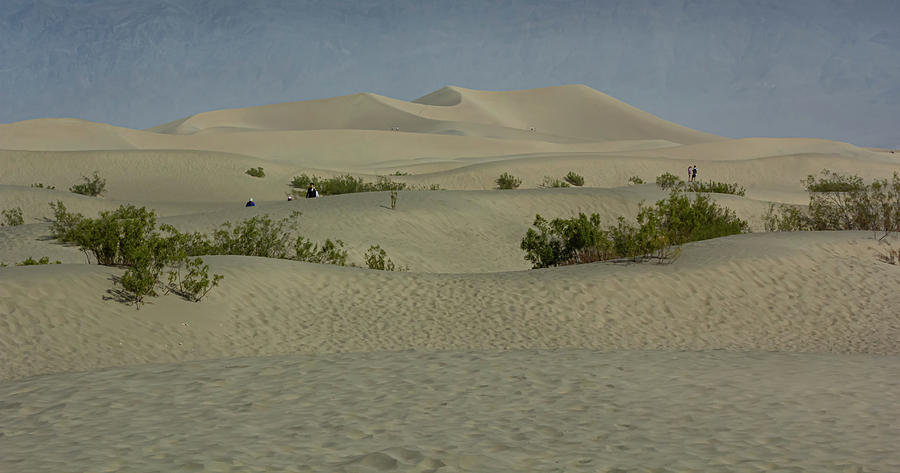 Distant Dunes Photograph by Nicholas McCabe