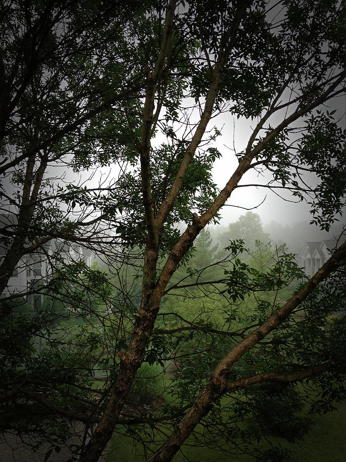 Distant Fog Photograph by Denise Harty Distant Fog Photograph by Denise Harty