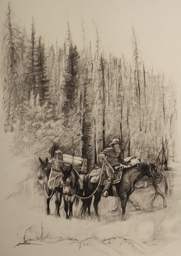 Horse Drawing - Distant Howls by Susie Gordon