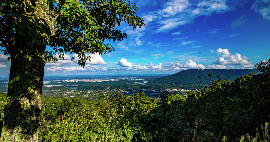 Distant Lookout Photograph by Bobby Ryan Distant Lookout Photograph by Bobby Ryan
