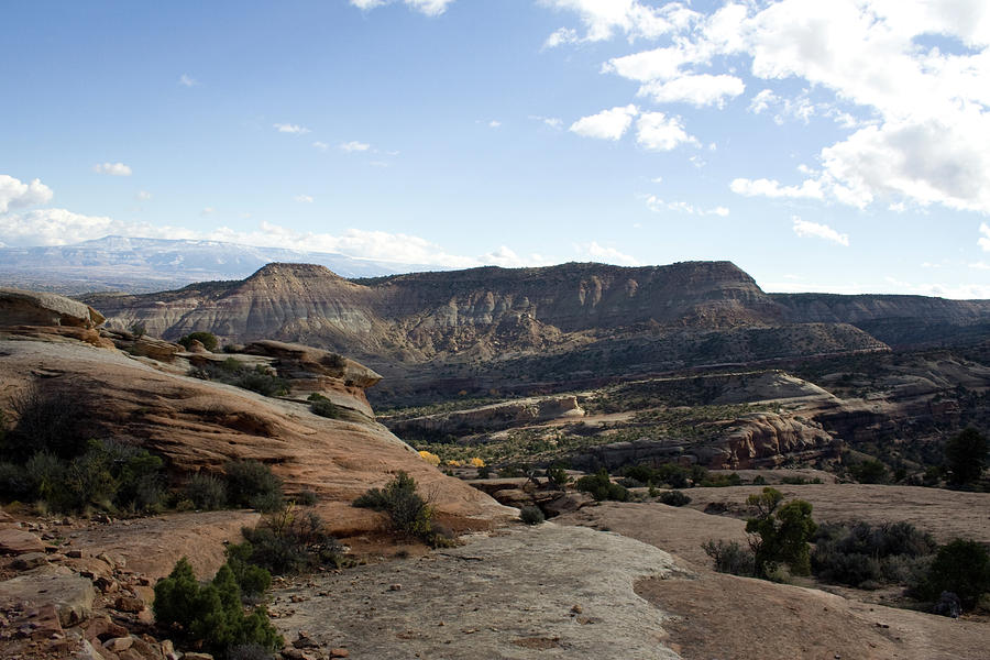 Distant Mesas and Cottonwoods by Dylan Punke Distant Mesas and Cottonwoods by Dylan Punke
