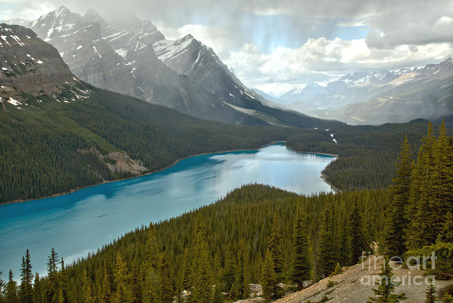Distant Rain Showers Over Peyto Lake Photograph by Adam Jewell