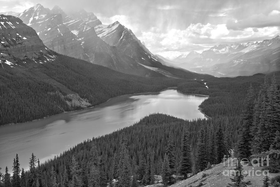 Distant Rain Showers Over Peyto Lake Black And White Photograph by Adam Jewell