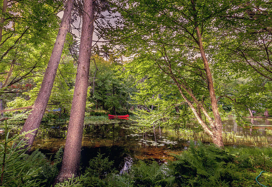 Distant Red Canoe Photograph by David Patterson
