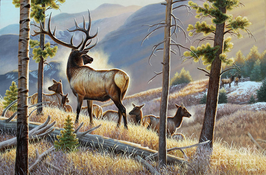 Distant View - Elk Painting by Cynthie Fisher - Fine Art America