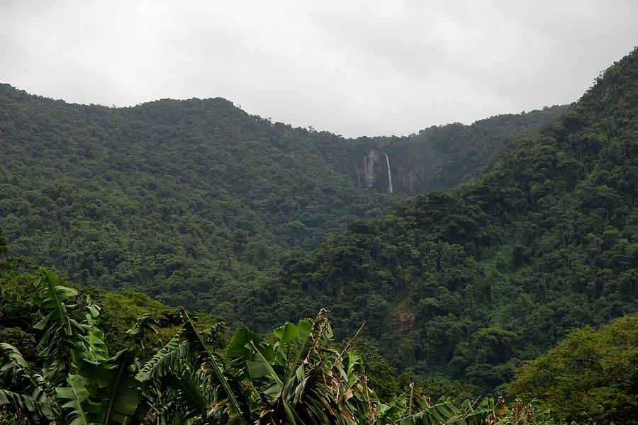 Distant view of the Salto Grande Waterfall, Corupá Photograph by Philippe Debled