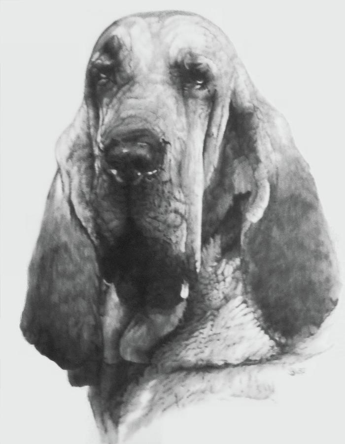Distinguished Drawing by Barbara Keith