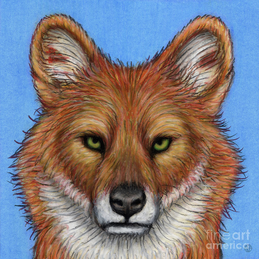 Distinguished Dhole  Painting by Amy E Fraser