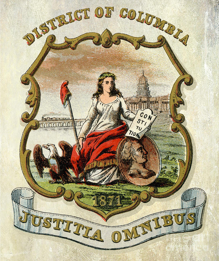 District of Columbia Coat of Arms 1876 Photograph by Jon Neidert