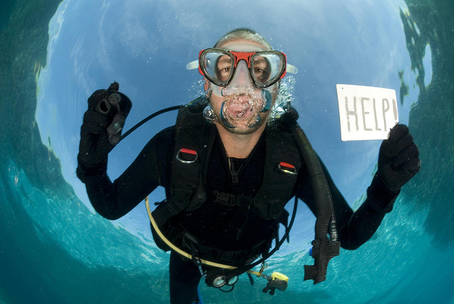 Diver Needs Help Photograph by RainervonBrandis
