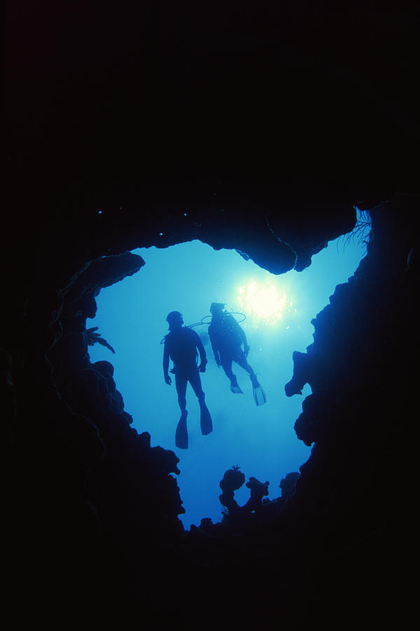 Divers under water Photograph by Comstock Images