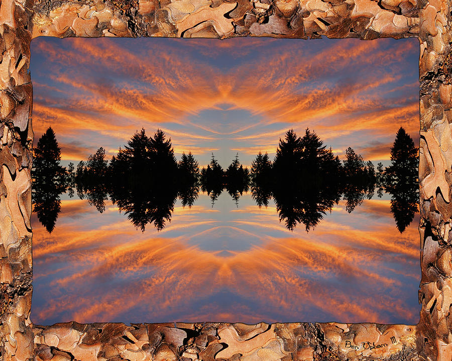 Divided Sky in a Ponderosa Pine Border Photograph by Ben Upham III
