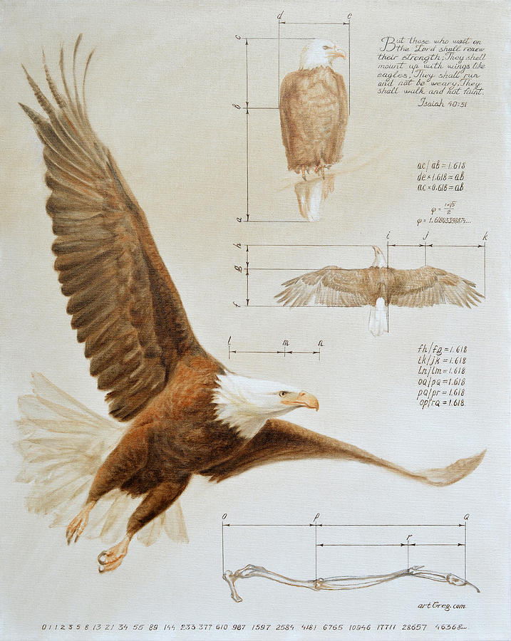 Divine design of an eagle  Painting by Gregory Doroshenko