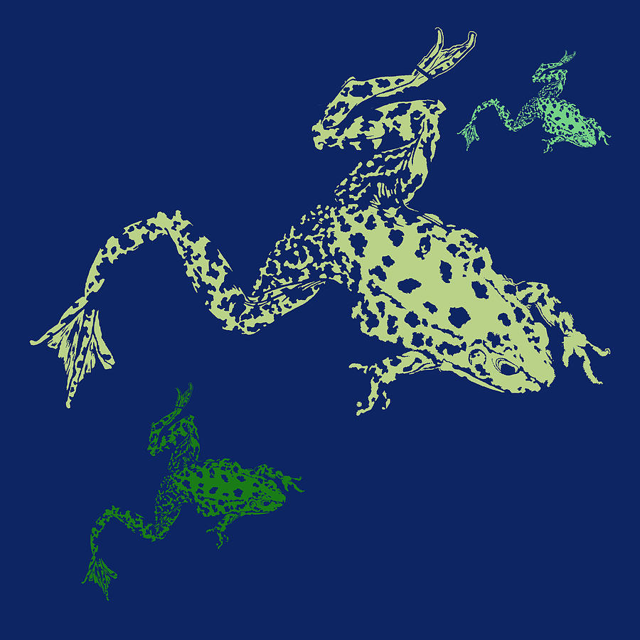 Diving Frogs Digital Art by John Haldane