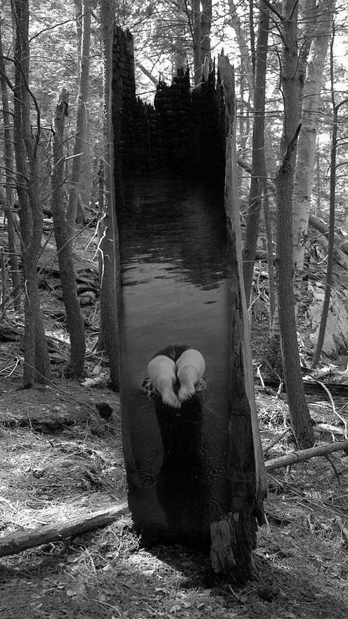 Landscape Photograph - Diving by Jon Butler Landscape Photograph - Diving by Jon Butler