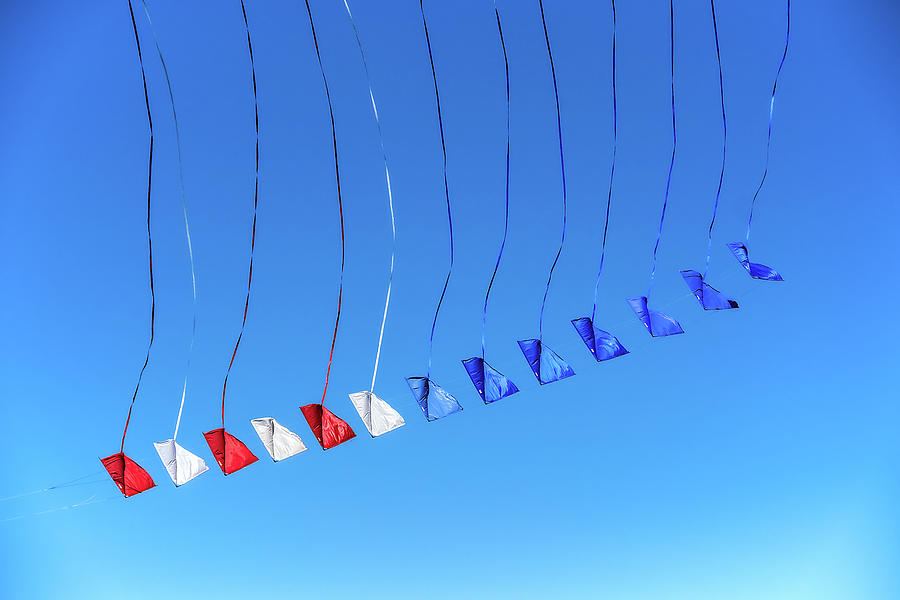 Diving Kites Photograph by Stuart Litoff Fine Art America