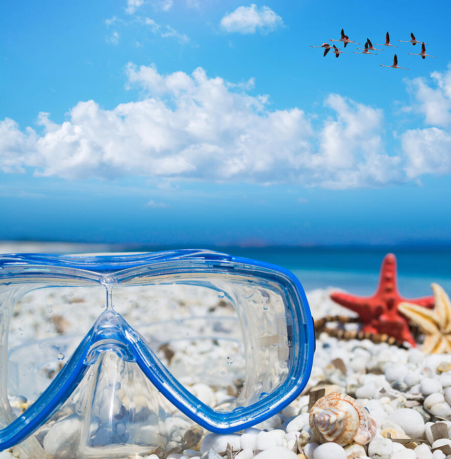 Diving Mask And Starfish Under A Flock Of Flamingos Photograph by AlKane